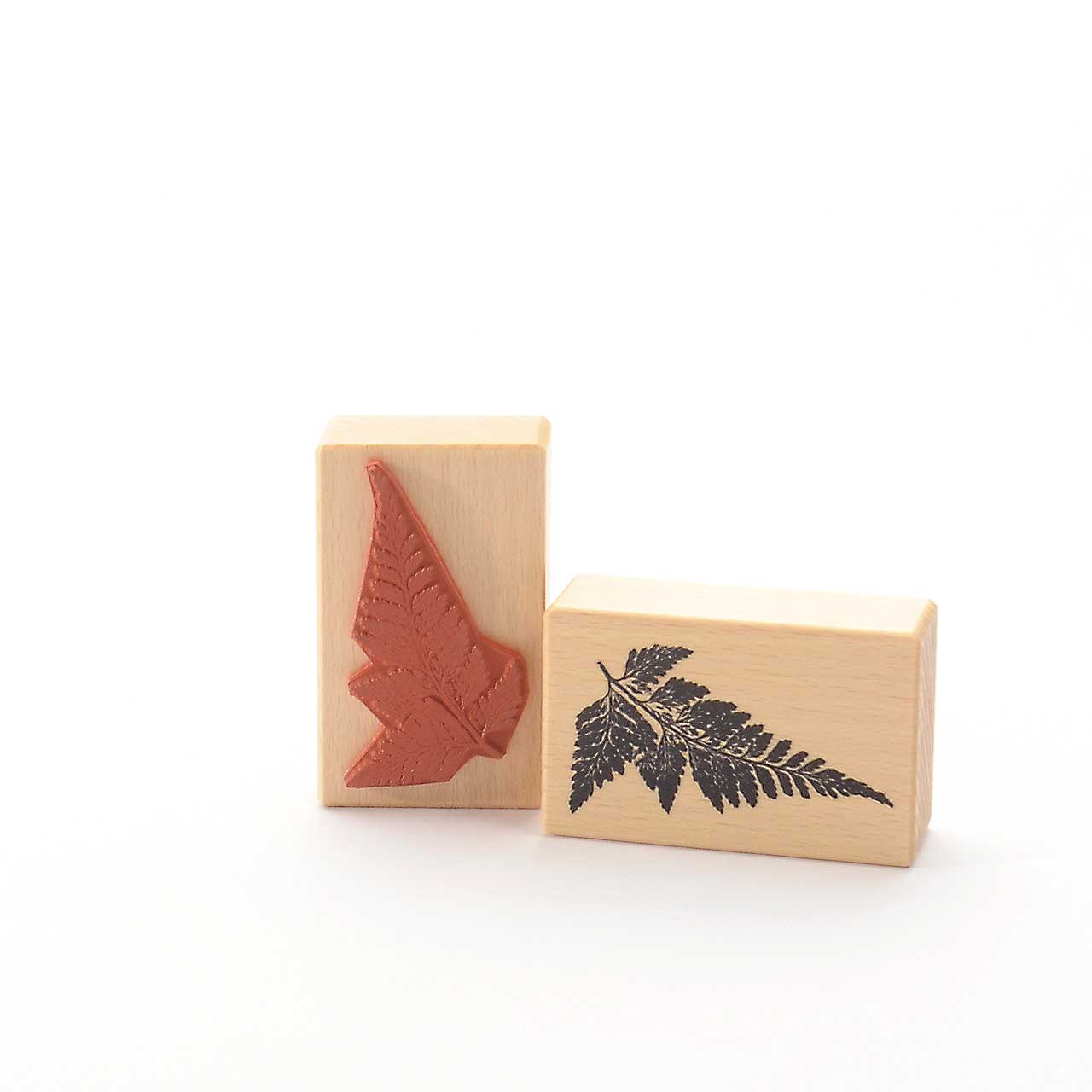 Motivstempel Titel: Australischer Farn Motivstempel Titel: Australischer Farn