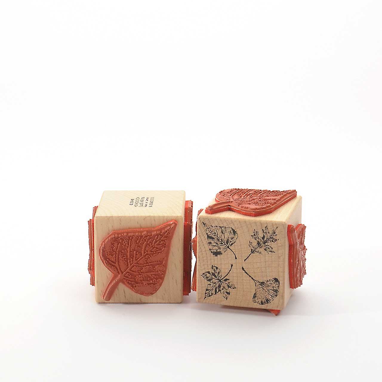 Motivstempel Titel: Judi-Kins Laub Motivstempel Titel: Judi-Kins Laub