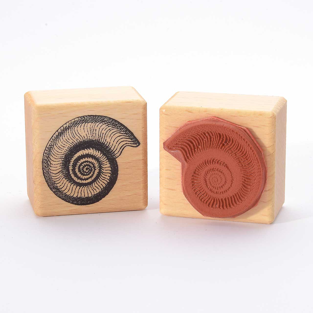 Motivstempel Titel: Ammonite