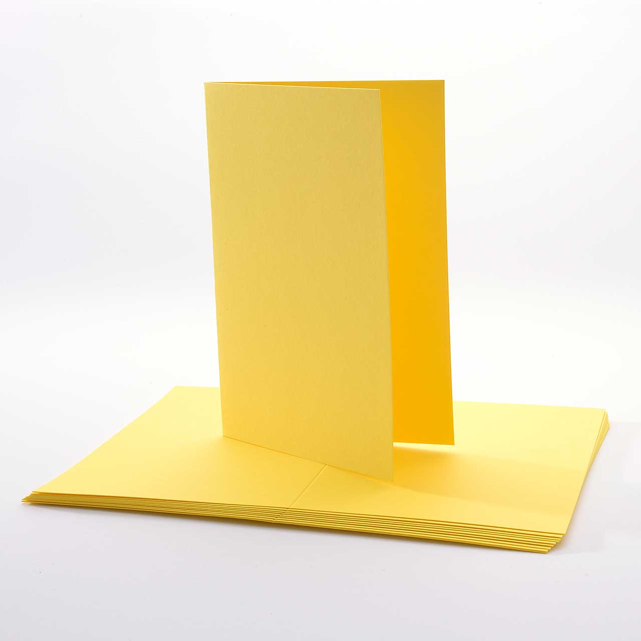 Amadeo · Edle Papiere · Sonnenblume Amadeo · Edle Papiere · Sonnenblume