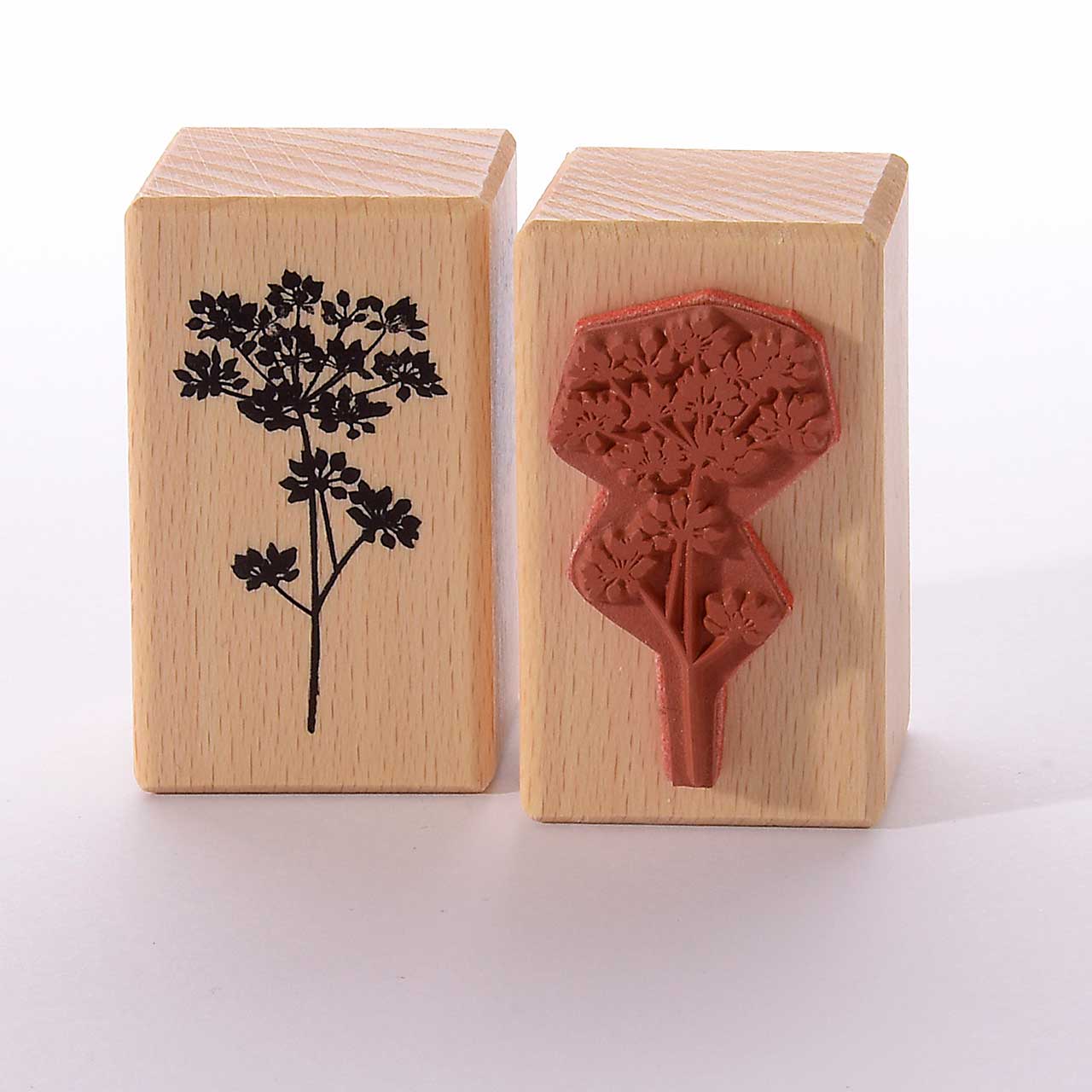 Motivstempel Titel: Wiesenkerbel