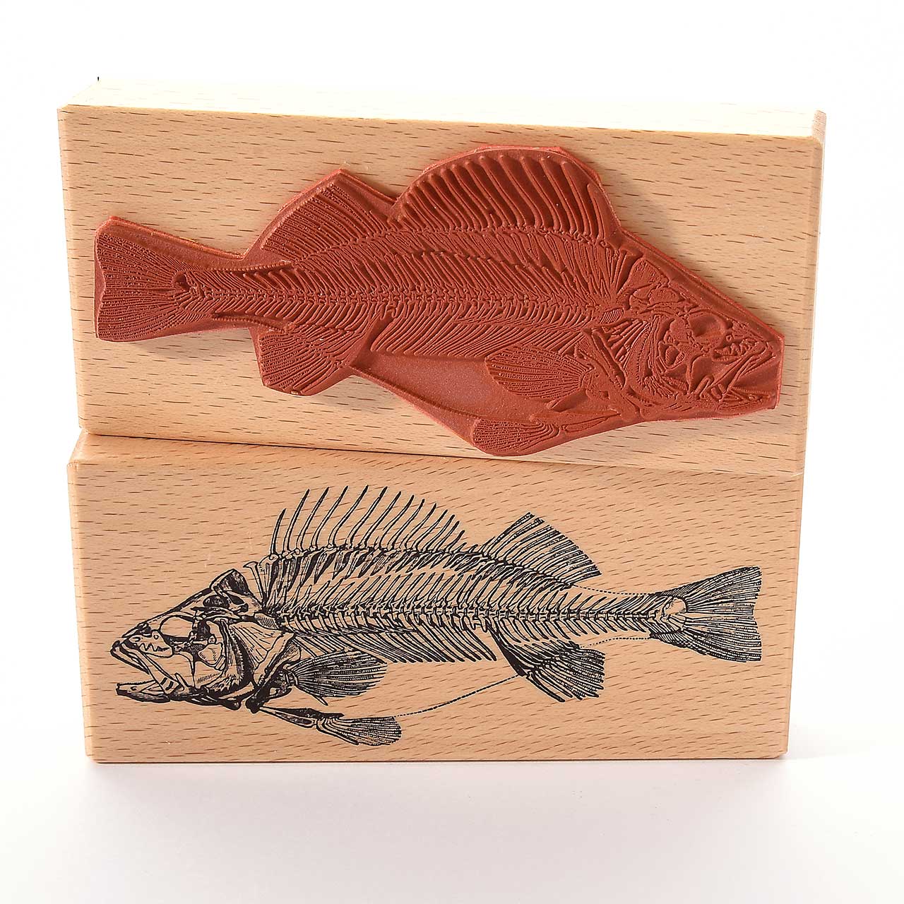 Motivstempel Titel: Fisch Fossil Motivstempel Titel: Fisch Fossil